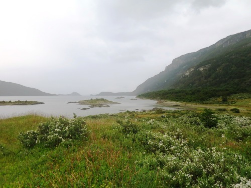 c0011649_08145201.jpg