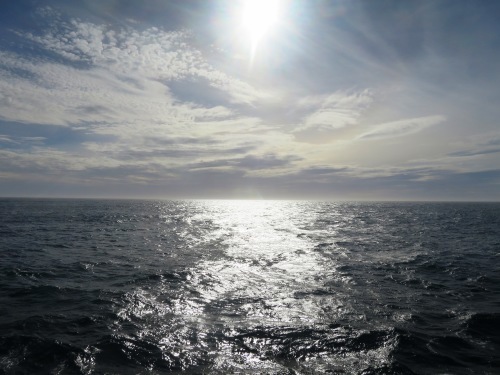 c0011649_08280386.jpg