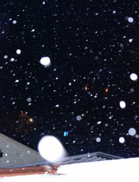a0248459_20333239.jpg