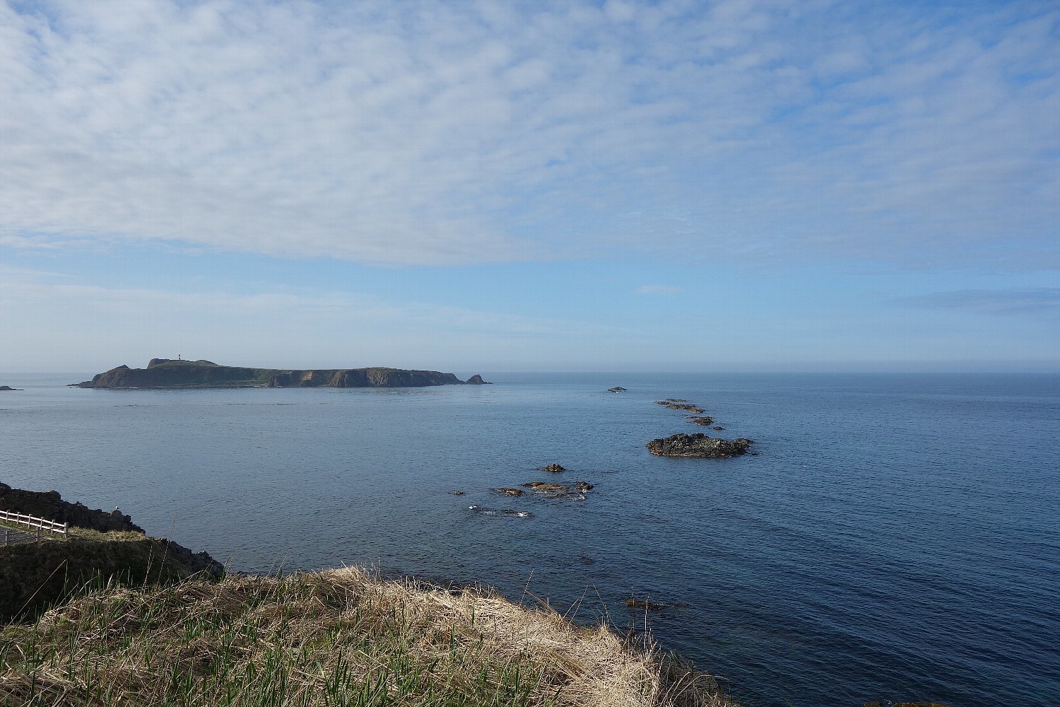 礼文島の須古頓岬（スコトン岬_c0112559_08374470.jpg