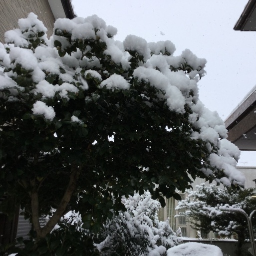 a0053063_09450520.jpeg