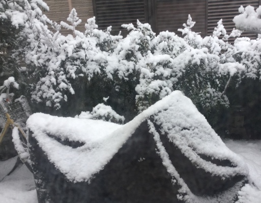a0053063_09511730.jpeg