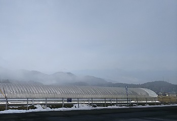 a0316366_19373311.jpg