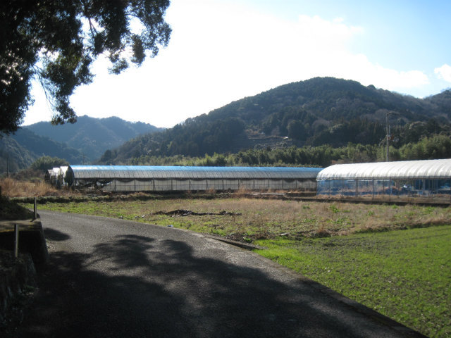c0219866_14430377.jpg