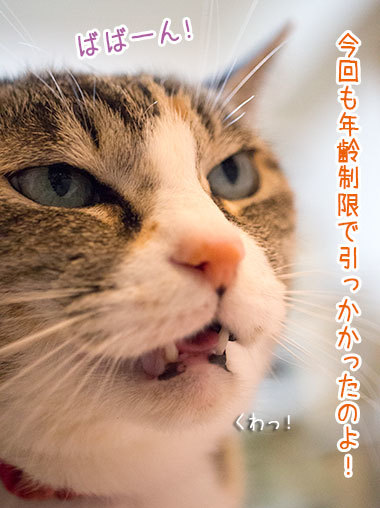 何度目かのオリンピック_a0119470_11413613.jpg