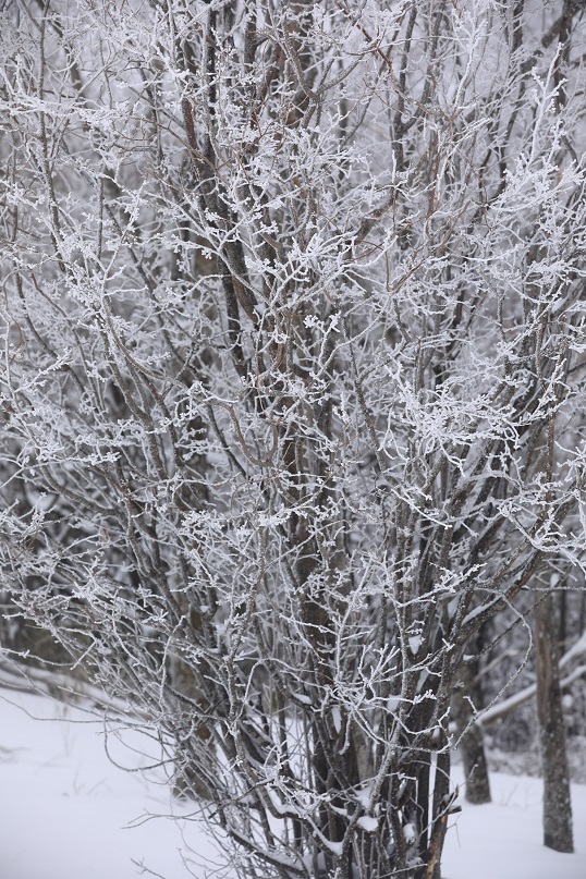 e0304170_19260876.jpg
