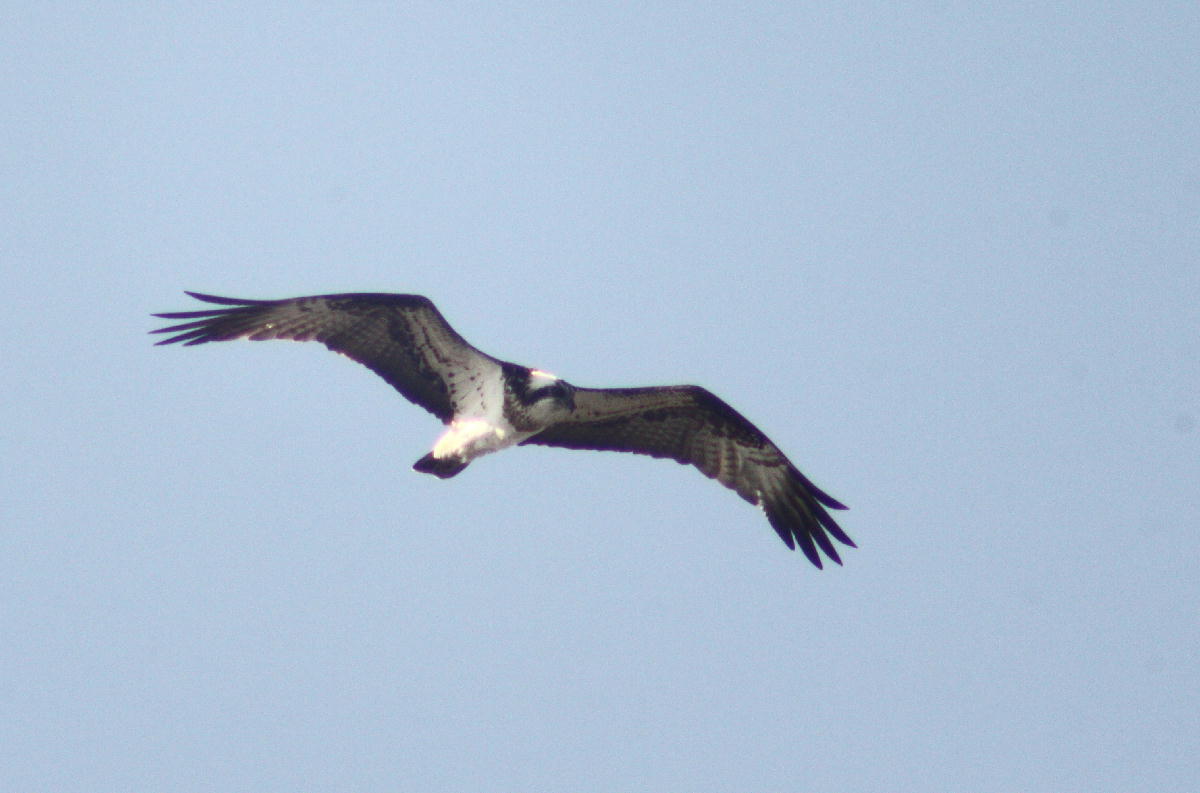a0053771_15512793.jpg