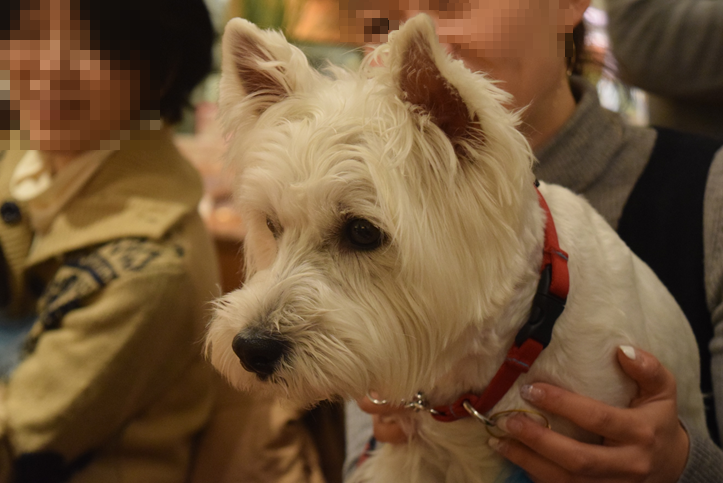 b0242873_13551614.png