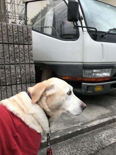 f0315081_22293753.jpeg