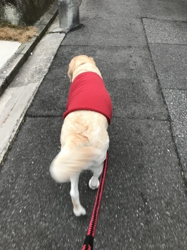 f0315081_22301030.jpeg