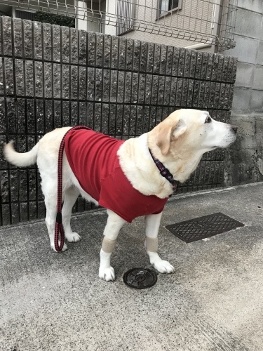 f0315081_22333459.jpeg