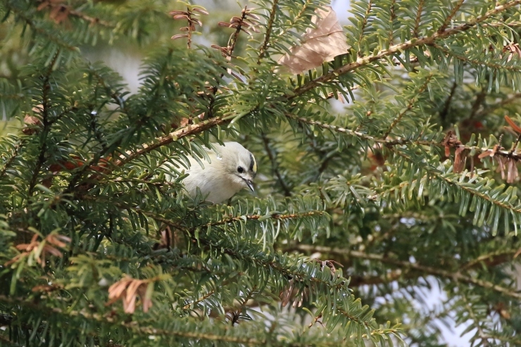 f0378282_16343520.jpg