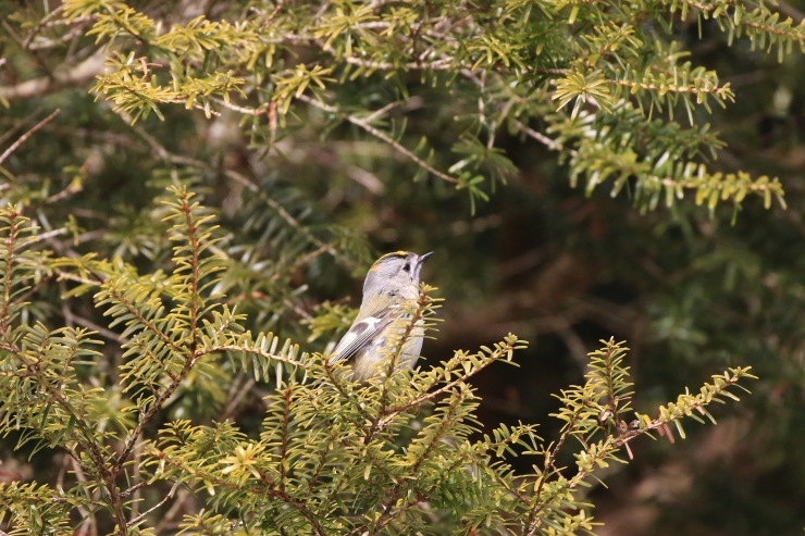 f0378282_16402286.jpg