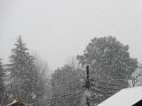 a0142083_11060231.jpg