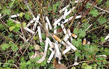 f0003283_18101037.jpg