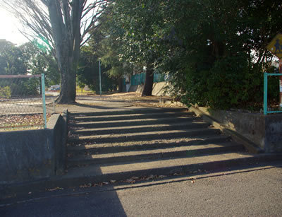 b0123486_13323954.jpg