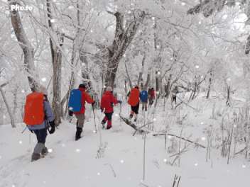 f0357487_20543755.gif