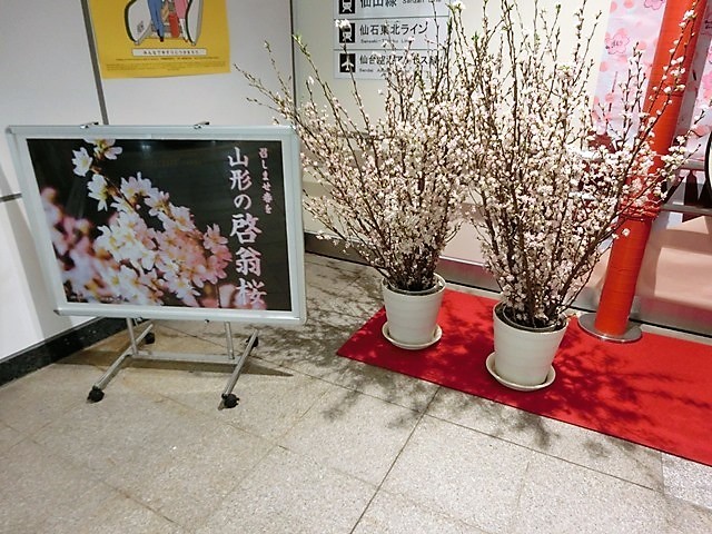 d0181492_14444914.jpg