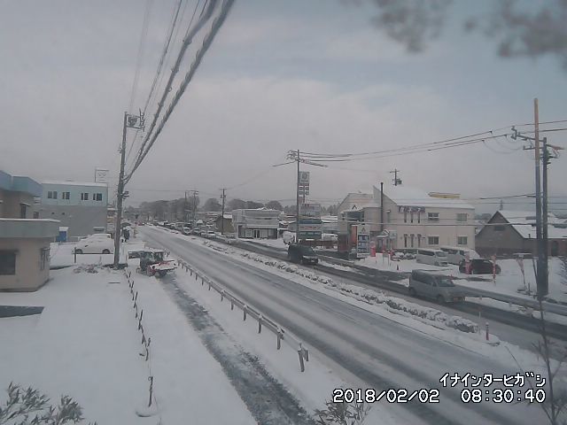 大雪警報です！！_b0177596_08565447.jpg