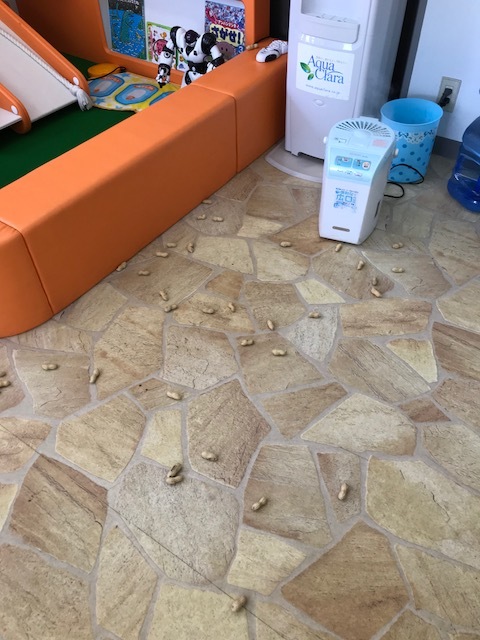 b0127002_18233993.jpeg