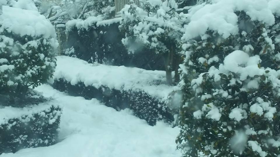 今日は２回の雪かきしました(ノД`)・゜・。_b0331802_01385053.jpg