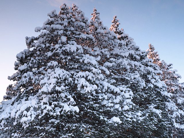 c0008502_1934418.jpg