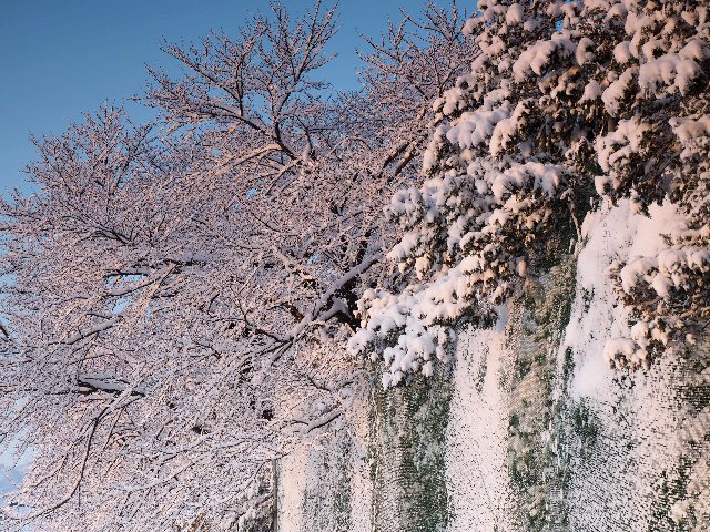 c0008502_194681.jpg