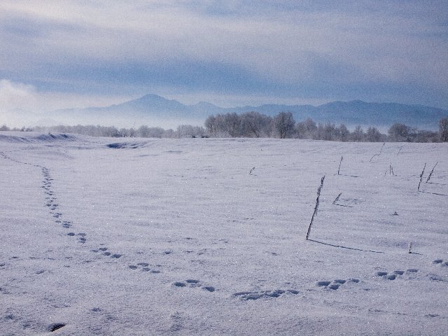 c0008502_21321495.jpg