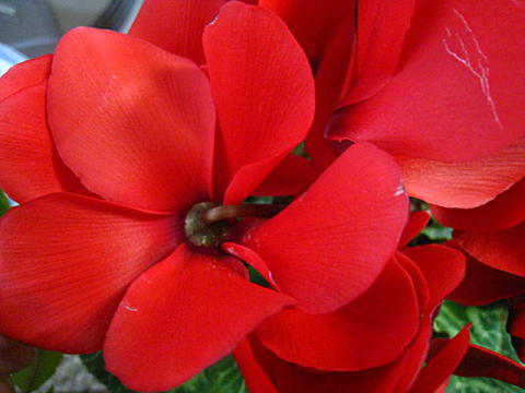 d0046702_10165694.jpg