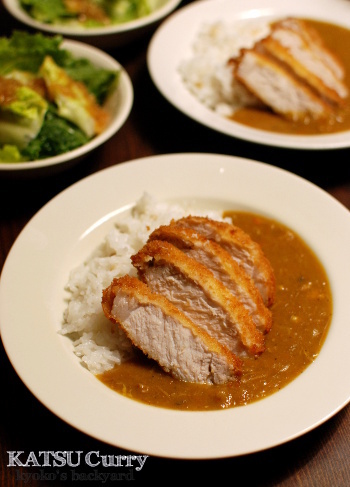 3日目のカレーで、カツカレー_b0253205_03533835.jpg