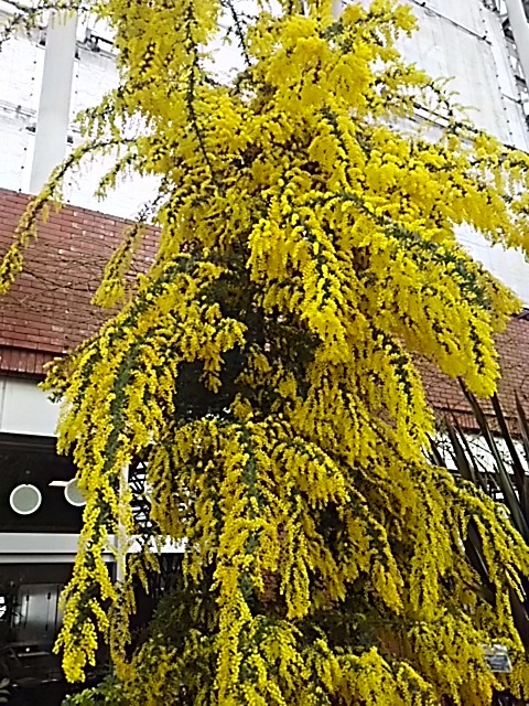 f0316507_14031135.jpg
