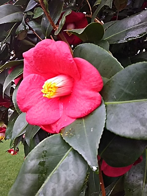 f0316507_14543233.jpg