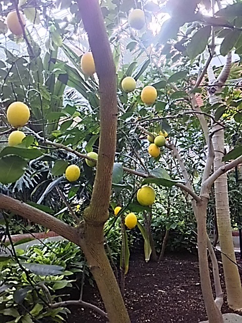 f0316507_21031431.jpg