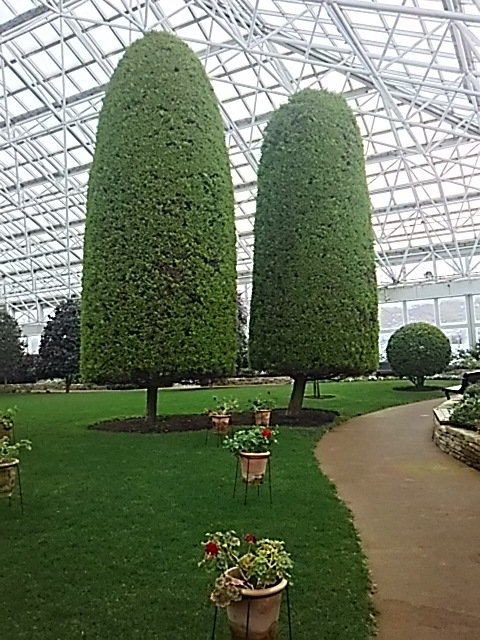 f0316507_21032867.jpg