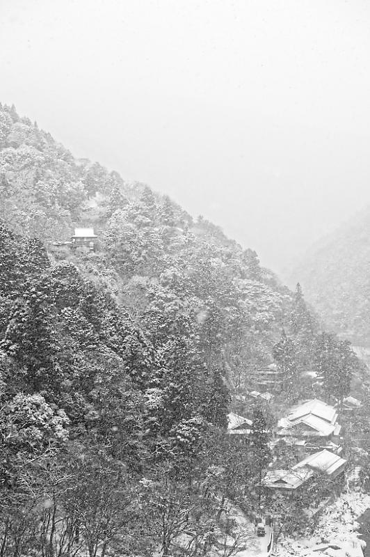 f0032011_16480859.jpg