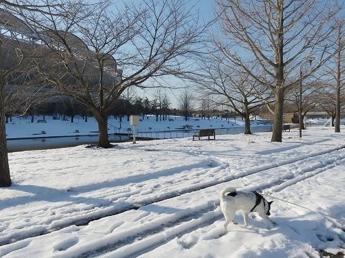 c0084117_19244189.jpg