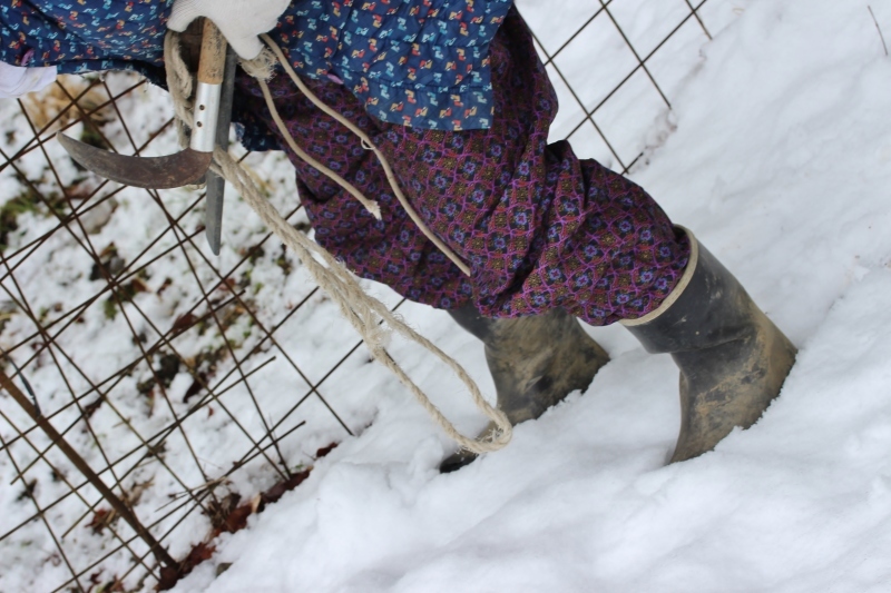 寒らしく、雪積るなかで枝切りから_b0220318_07513247.jpg