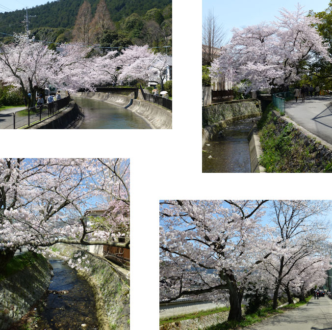 京都観桜編(30):インクライン(15.3)_c0051620_192533.jpg