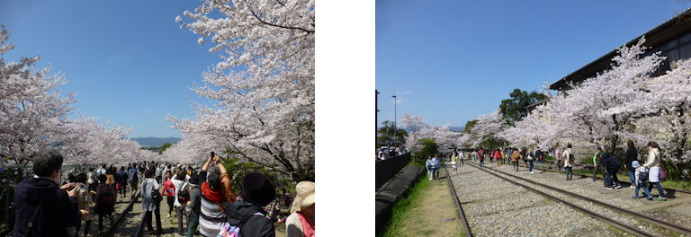 京都観桜編(30):インクライン(15.3)_c0051620_19253770.jpg