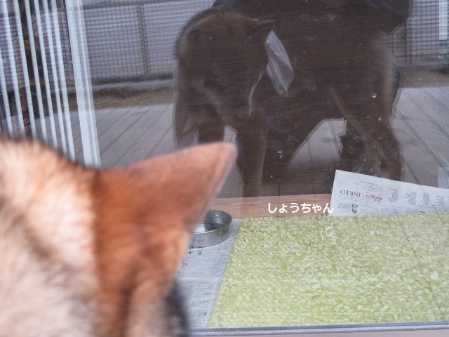 f0143123_10361971.jpg