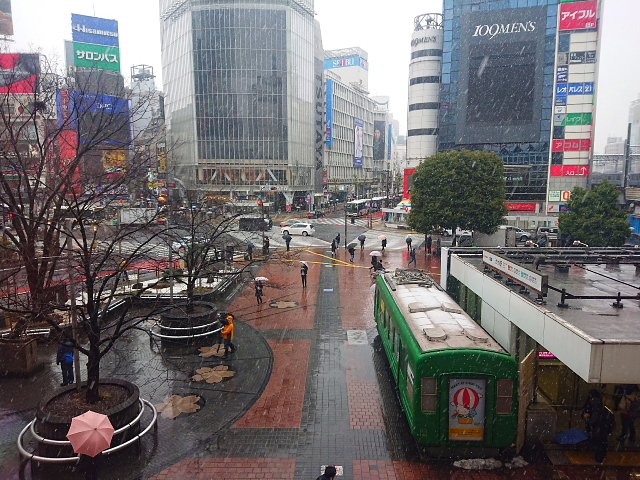 a0222229_1485932.jpg