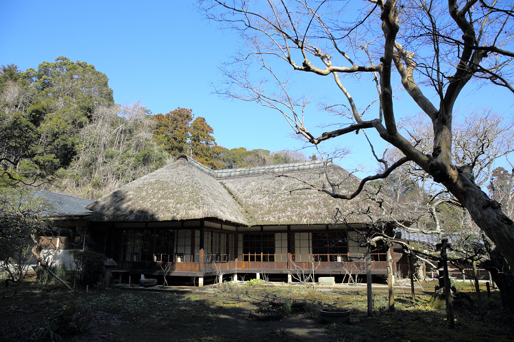 鎌倉散歩　#62 －早春の北鎌倉 浄智寺－ _b0169330_8132520.jpg