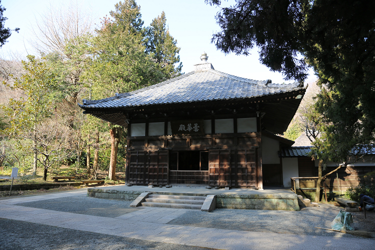 鎌倉散歩　#62 －早春の北鎌倉 浄智寺－ _b0169330_818111.jpg