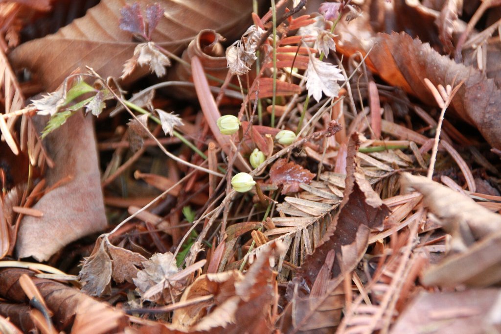 c0355331_13454457.jpg