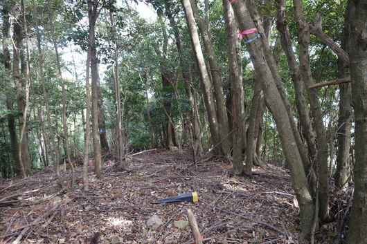 潮騒を聞きながらカマエカズラの群生地を歩く＆遠見山！_e0272335_5441923.jpg