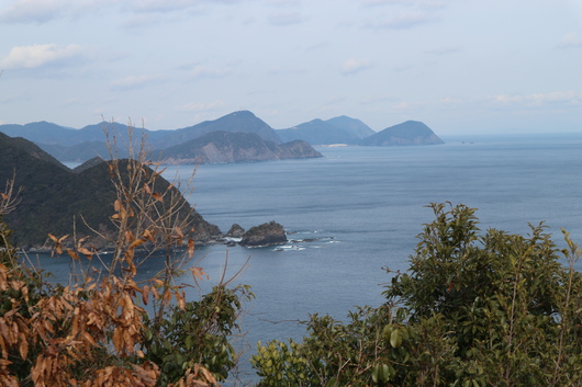 e0272335_75998.jpg
