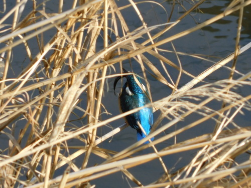 c0338136_15343576.jpg