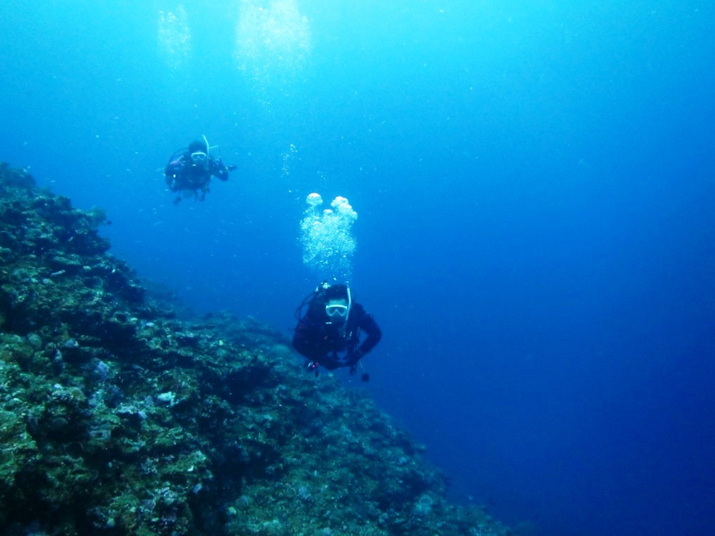 a0189838_17220493.jpg
