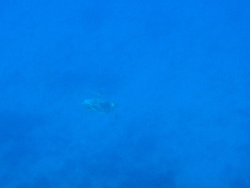 a0189838_17261287.jpg