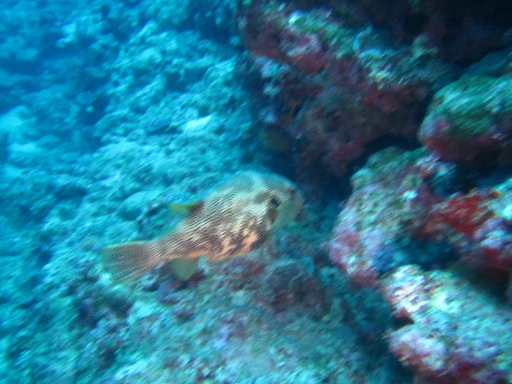 a0189838_17270905.jpg
